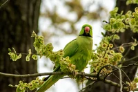 WhatsApp Image 2025-04-29 at 15.32.48.jpeg