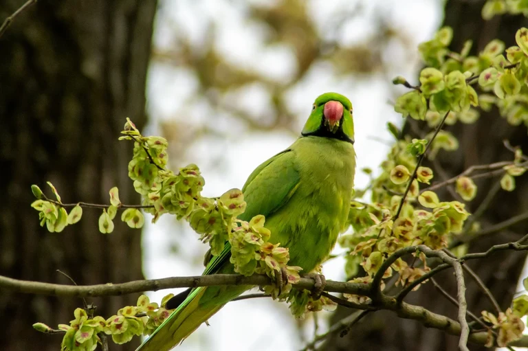 WhatsApp Image 2025-04-29 at 15.32.48.jpeg