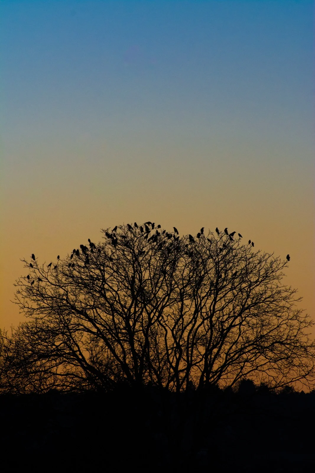 WhatsApp Image 2025-10-13 at 20.36.47.webp